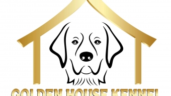 GH-LOGO